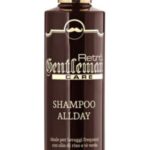 RETRO’ GENTLEMAN SHAMPOO ALL DAY 250ML